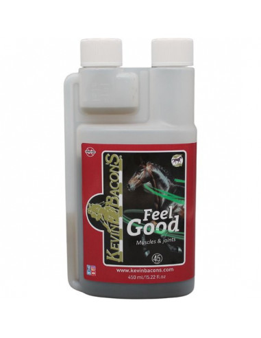 KEVIN BACON'S - Feel Good (450 ml)