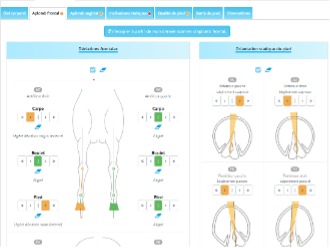 Défauts d'Aplomb et Problèmes de Sabots : Guide Complet pour Prévenir et Corriger